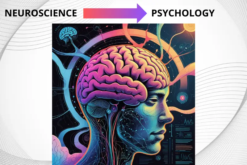 How Does Neuroscience Relate to Psychology? neuroscience and psychologie