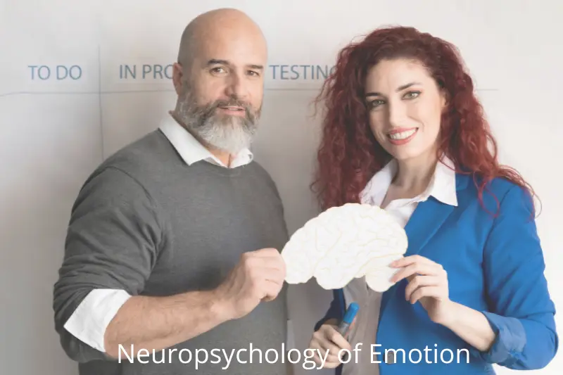 The Neuropsychology Of Emotion: From Circuits To Consciousness The Neuropsychology Of Emotion